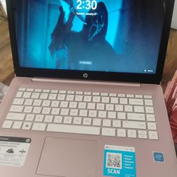 HP Stream  Laptop 14