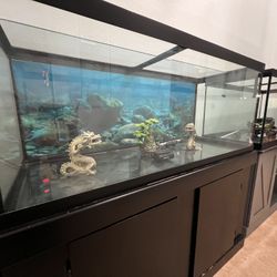 75gallons Fish Tank ,tank with black stand,and tank with blue grey stand.