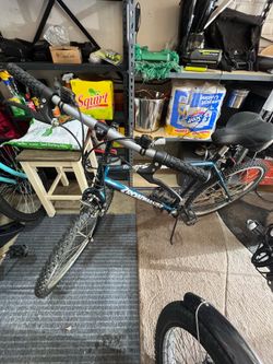 Bicycle
