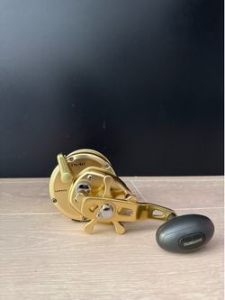 Shimano Trinidad TN40 (Blueprinted) Reel