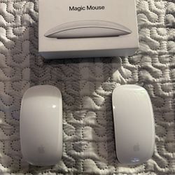 2 Apple Magic Mouse 2’s