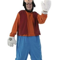Goofy Costume