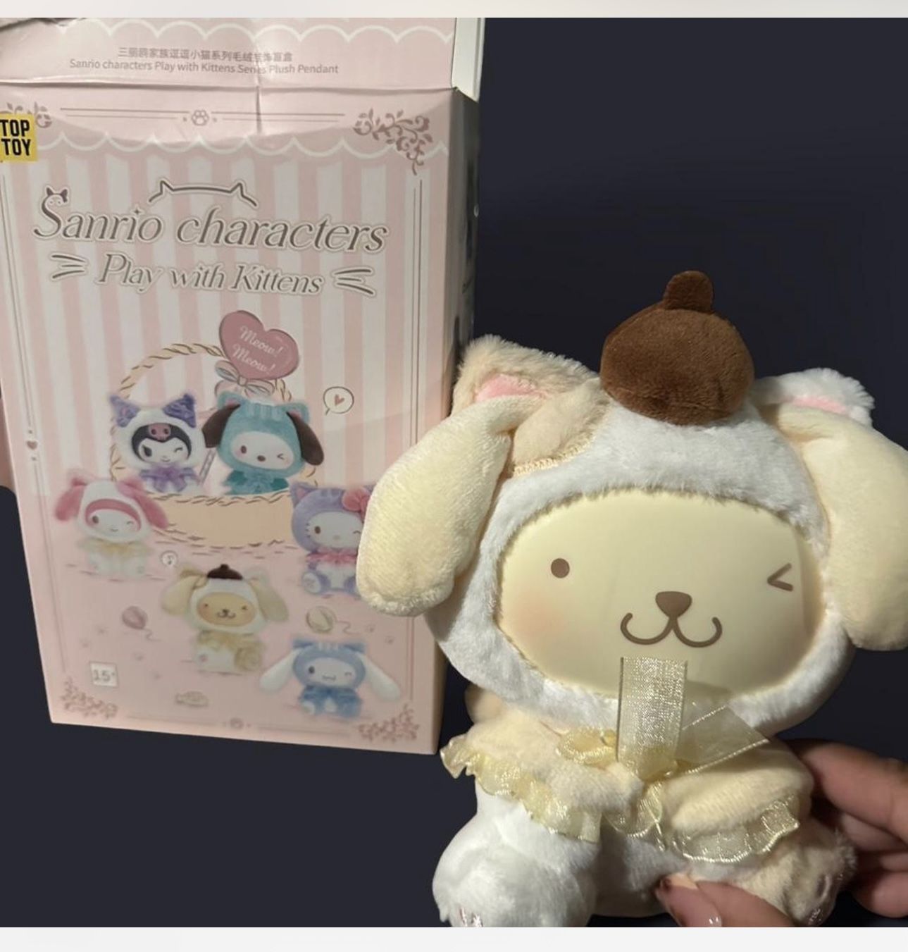 POMPOMPURIN SANRIO CHARACTER 