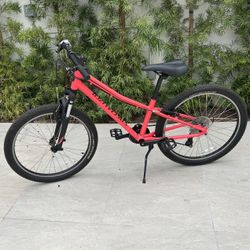 Excellent Condition Specialized Alibi Sport Bike