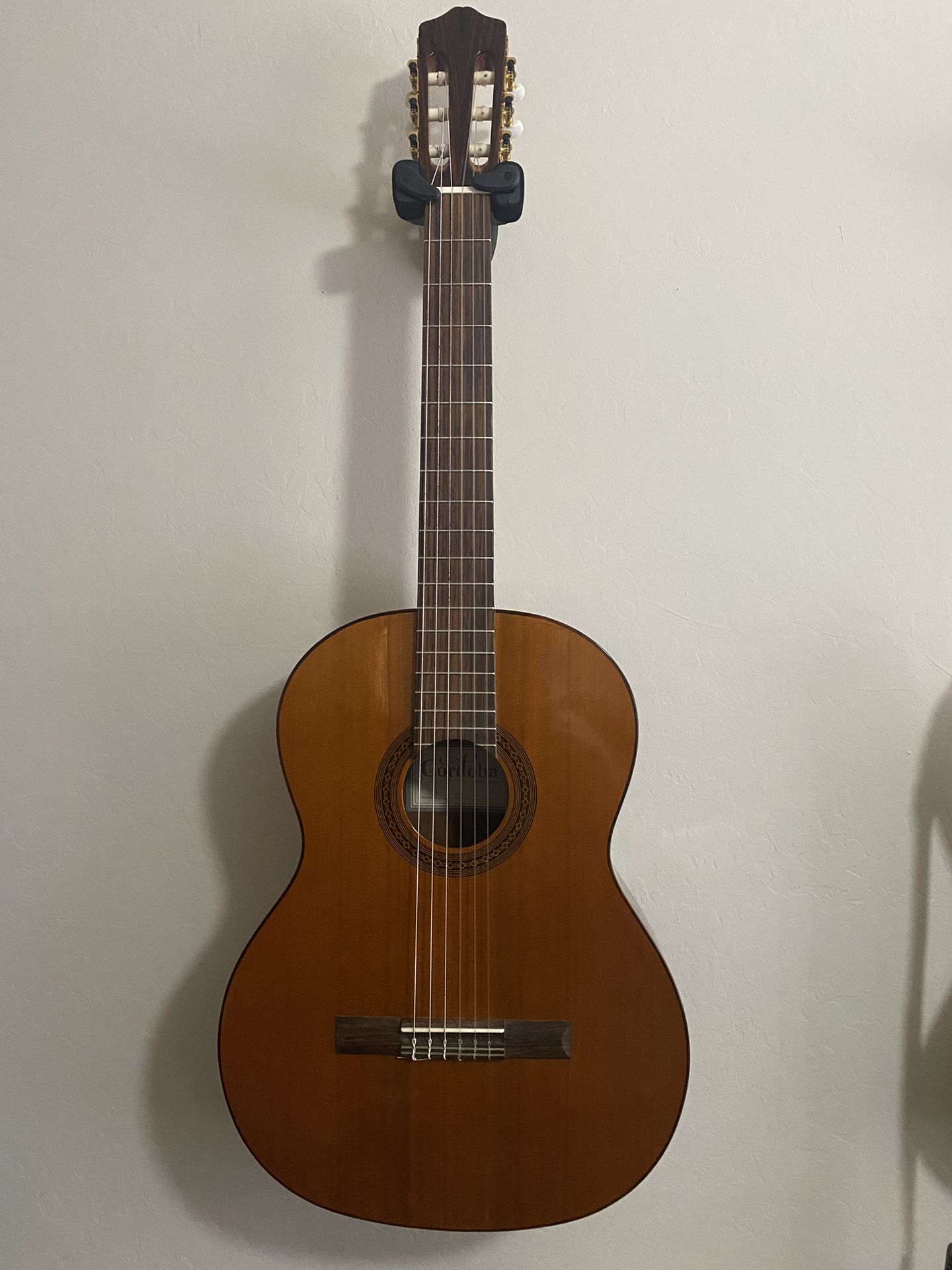 Classical Guitar Cordoba C-5 Iberia Series