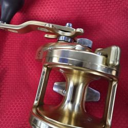 Shimano Trinidad TN 40 Gold