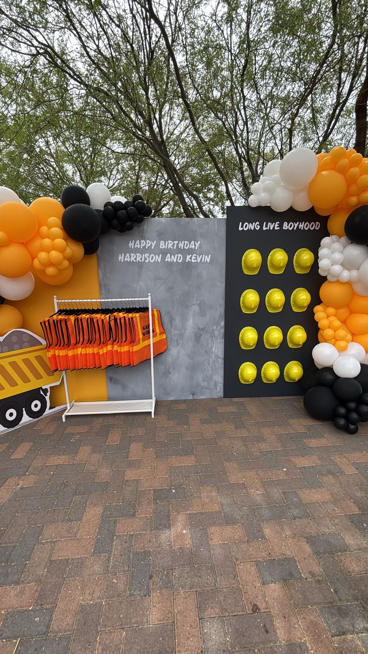Balloon Garland And Backdrop