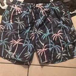 Men’s Size Large Swim Trunks $5