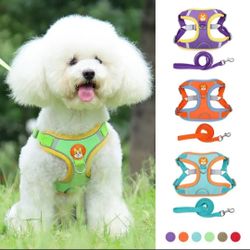 Pet Adjustable Leash and Harness Set