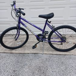 24 In Free Spirit Bicycle