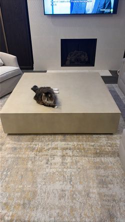 Restoration Hardware Beige Shagreen Plinth Coffee Table