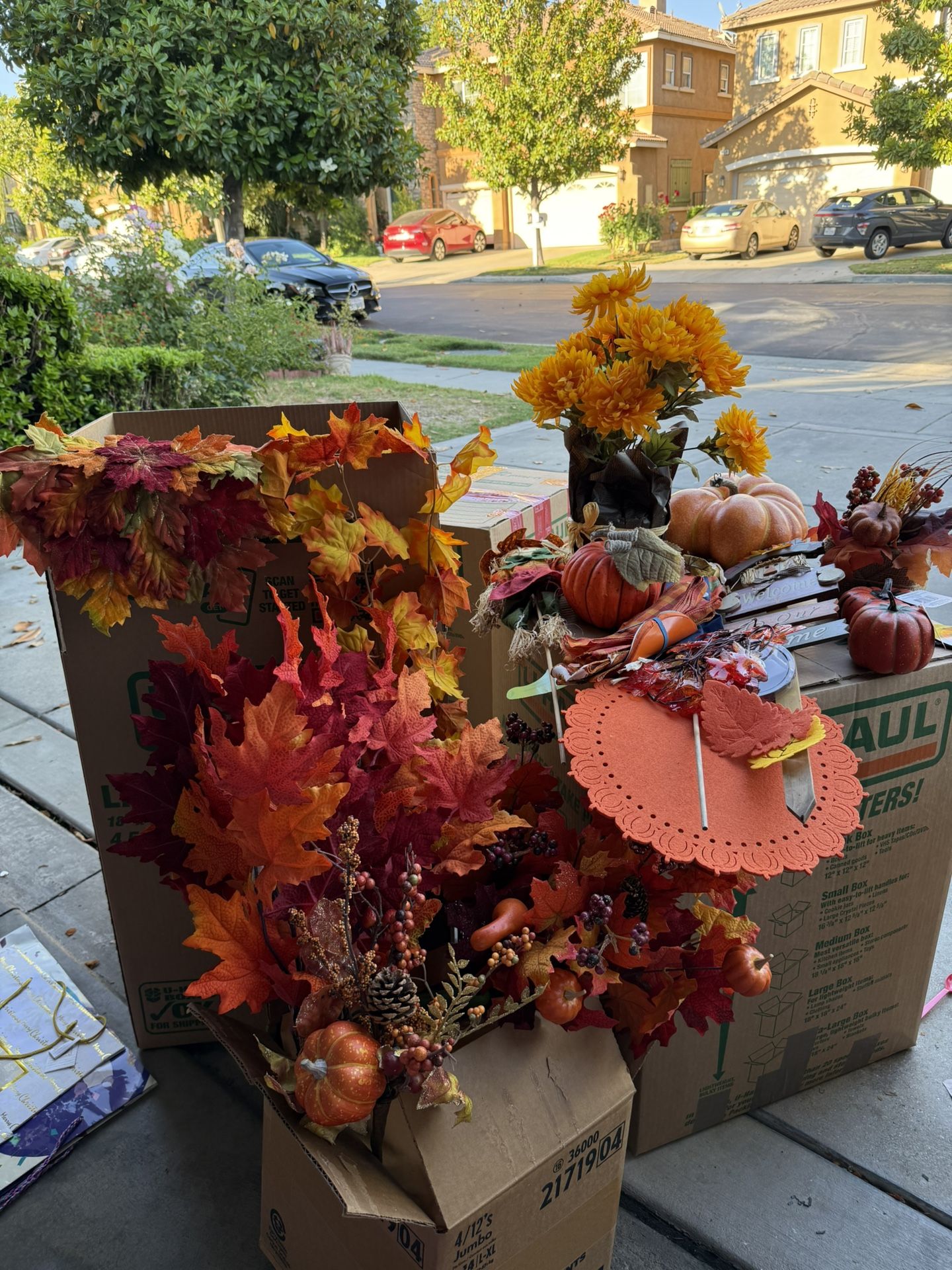 Halloween Decorations Lot