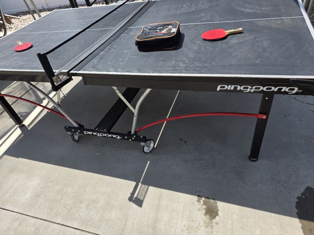 Ping Pong Table