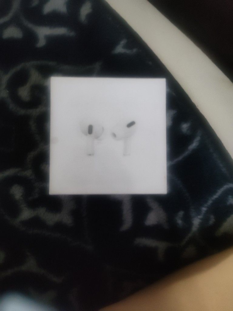 Apple Earphones