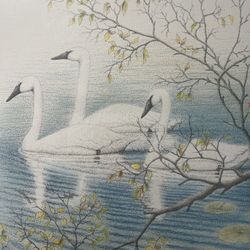 Artist Signed Framed Swan Print