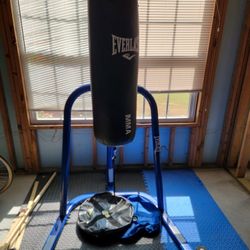 Kicking/Punching Bag