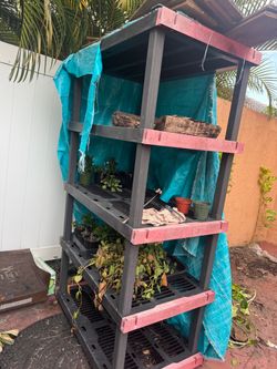 FREE Heavy-Duty Plastic Storage Shelving