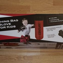 Punching Bag & Glove Set