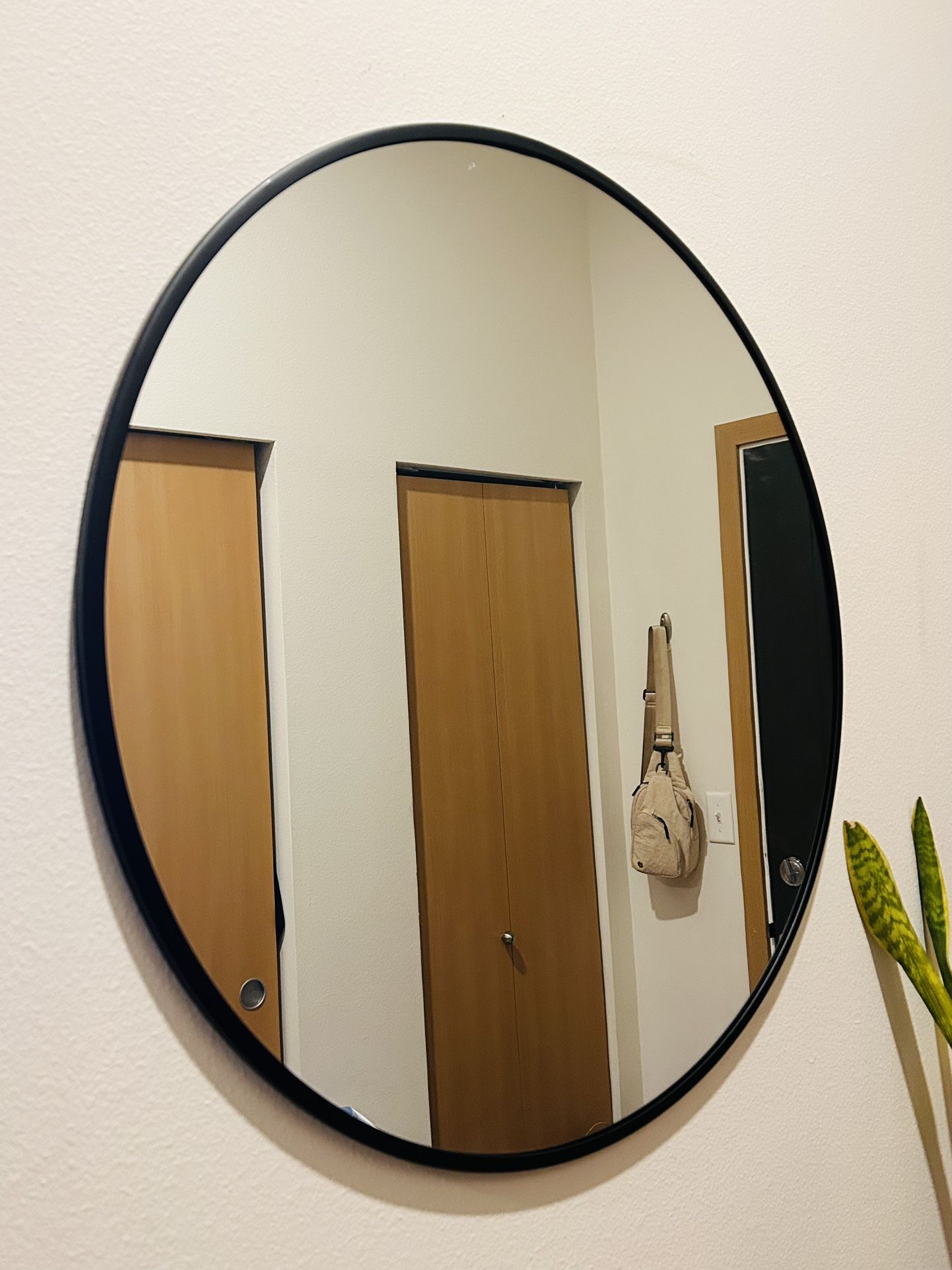 Circle Mirror 28 Inch