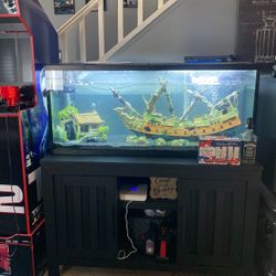 Fish Tank With Stand 