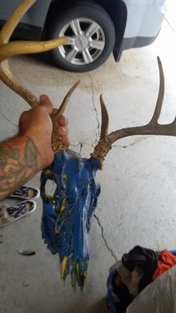Painted deer head