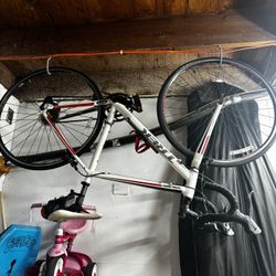 Trek Bike 