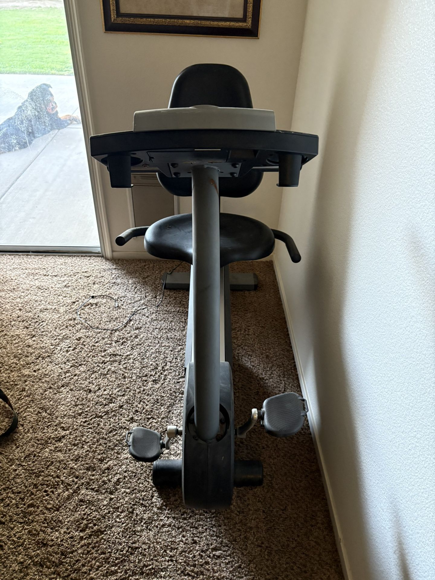 Exercise
