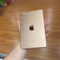 iPad Mini 5th Generation WiFi Cellular 64GB Used 