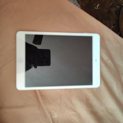 Disabled IPad