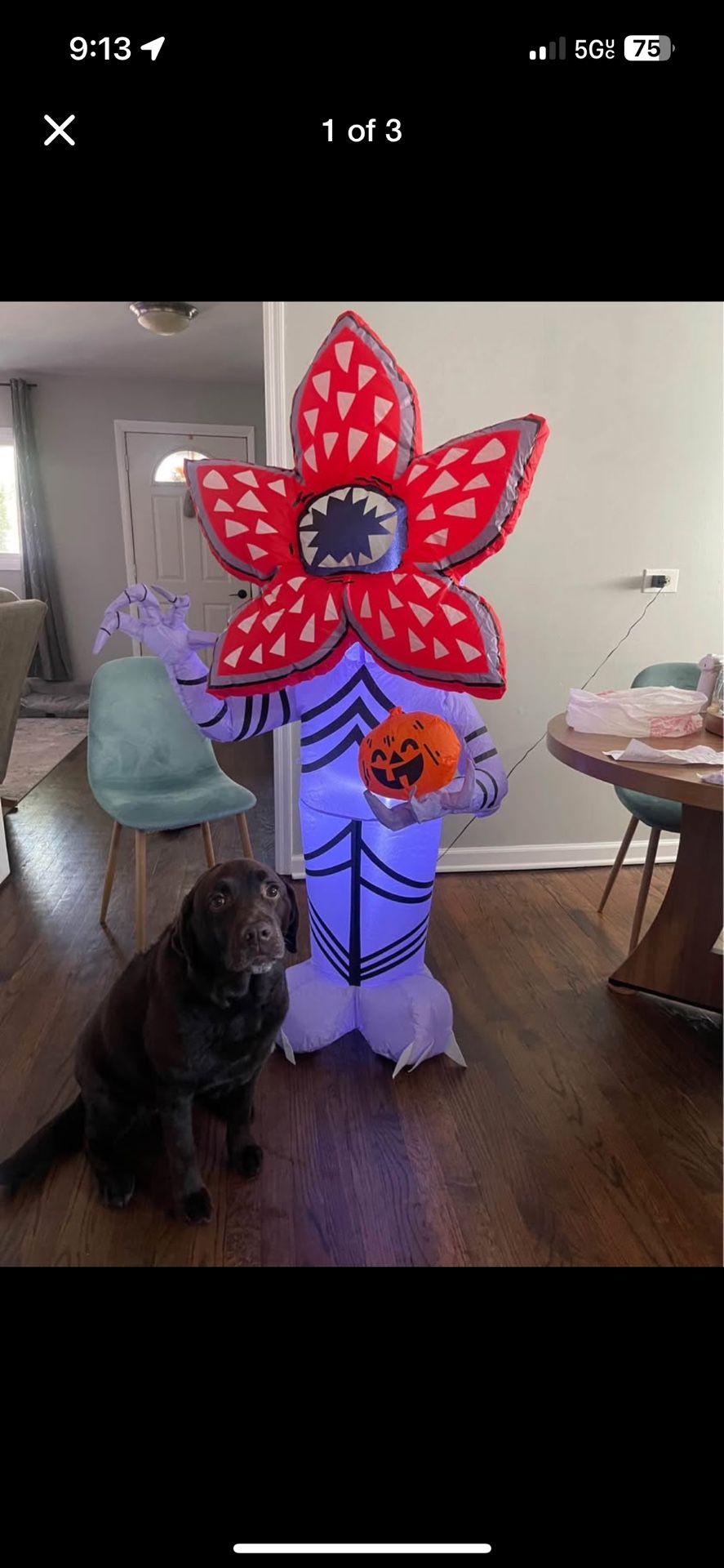 Halloween Inflatable $25 FIRM
