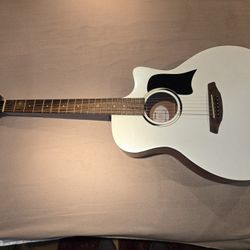 Donner D1 Acoustic Gutire