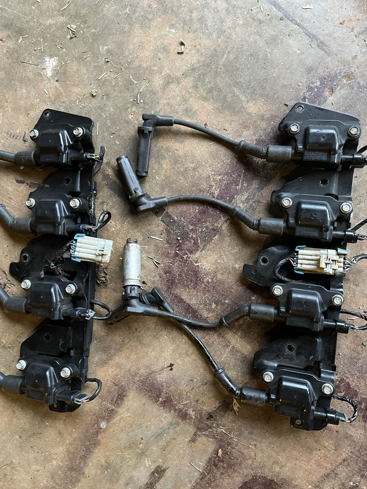 LS1,ls2,ls6 Ignition Coil