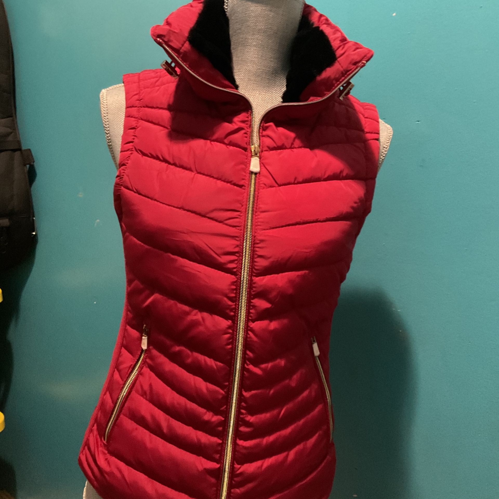 Vest