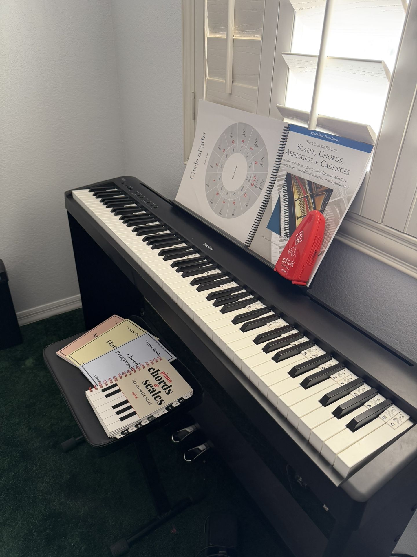 Kawaii ES110 Digital piano