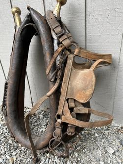 Antique Horse Collar With Hames And Bridle