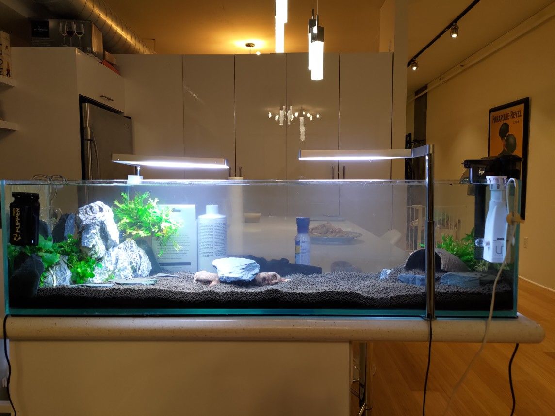 12 Gallon Long Fish Tank Aquarium Full Set