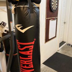 EverLast Punching Bag And Stand