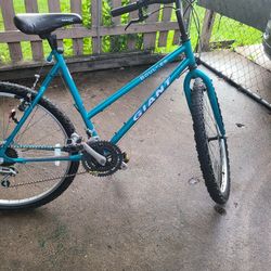 Giant Bike Size 26"