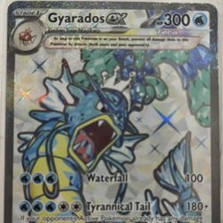 Gyarados ex 225/198
