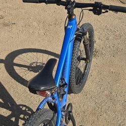 24" Giant Stp