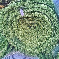 Artificial Turf RECYCLED SALE! 