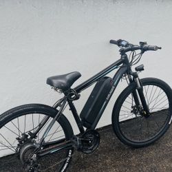 TotGuard e-bike