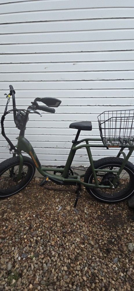 Rad Power E Bike