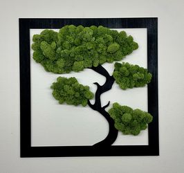 Elegant Bonsai Wall Piece (REAL MOSS)