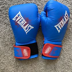 Pair of Everlast Prospect Youth Boxing Gloves