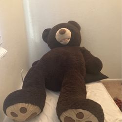 A Giant Teddy Bear