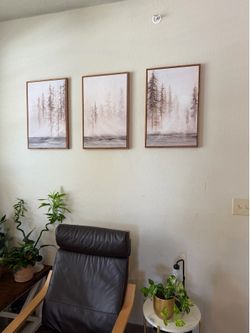 Moving sale !! 3 piece wall art 16x24 Inch