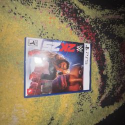 2K WWE 2K25 PS5 Sports Wrestling Fighting Game Multiplayer Online Playability