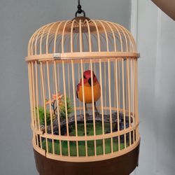 Toy Bird With Cage