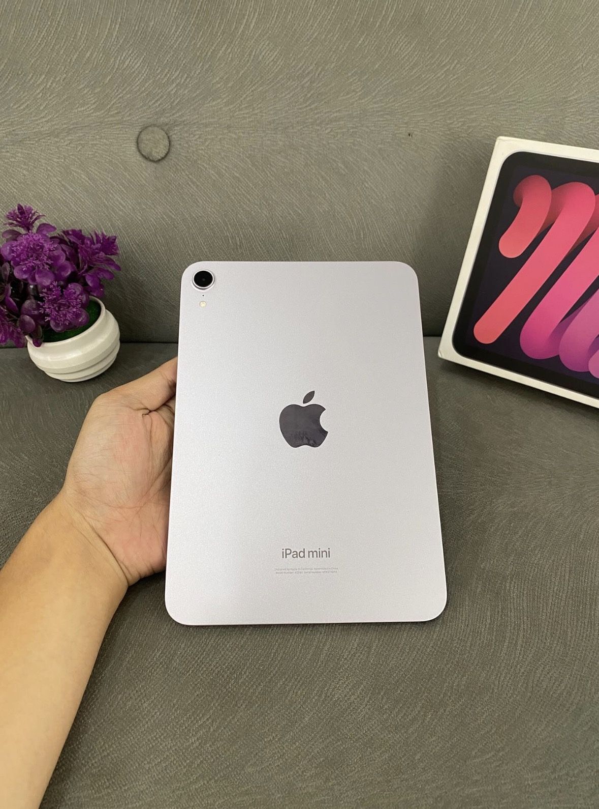iPad Mini 6 (WiFi + Cellular)